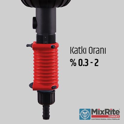 Tavukçuluk Broiler Yumurta Kanatlı Besicilik