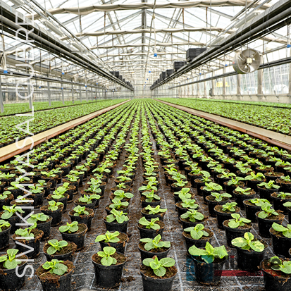 Tarım Gübre Sıvı Kimyasal Matbaa Haznesuyu Damlama Sulama Dozajlama