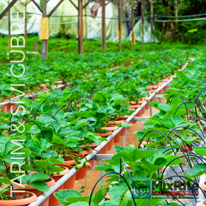 Tarım Gübre Sıvı Kimyasal Matbaa Haznesuyu Damlama Sulama Dozajlama