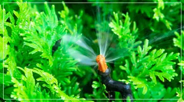 Tarımsal Sulama ve Sıvı Gübre Dozajlama MixRite Pompası